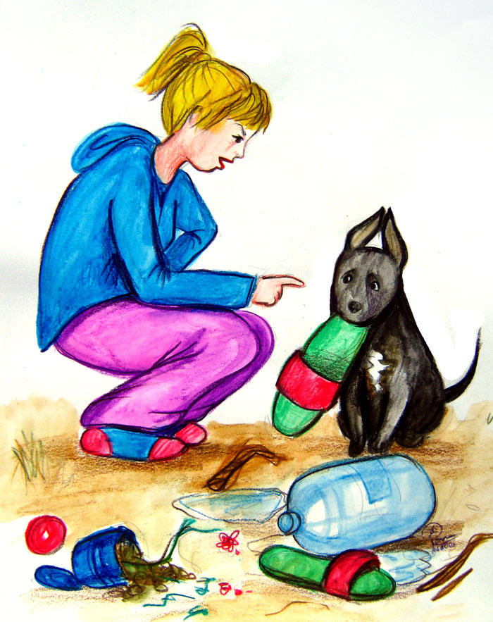 bruno-the-mischief-maker